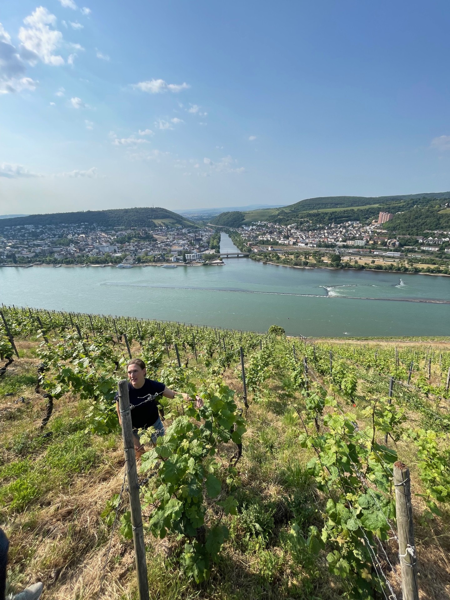 Rheingau