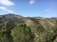 Catalunya wijnstudiereis voor Vinologen van de Wijnacademie